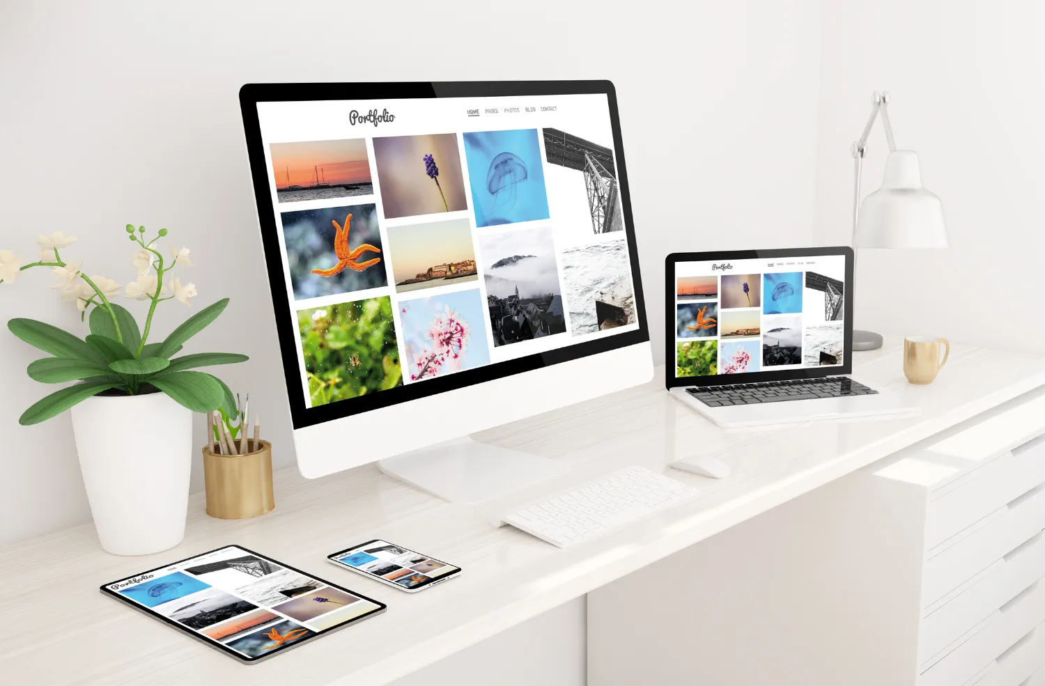 Professional business showcase website design